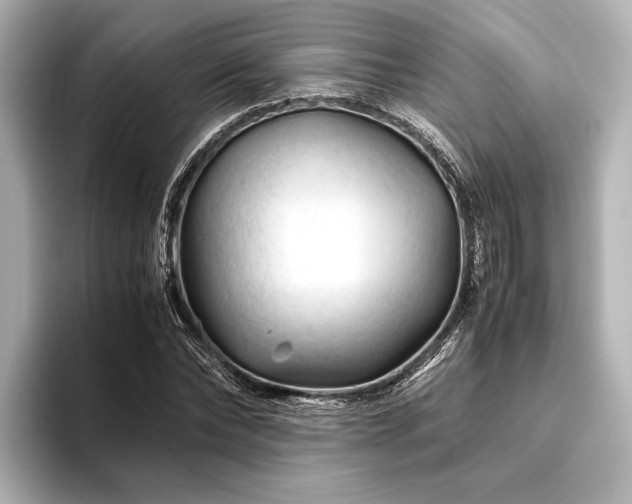 X0000096440878200801241356
