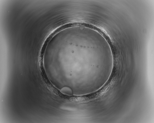 X0000096440879200801241356