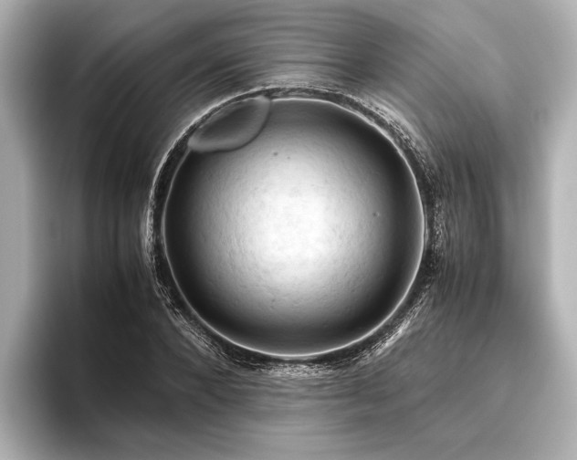 X0000096440880200801241356