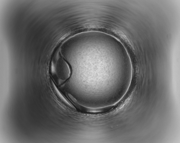X0000096440881200801241356