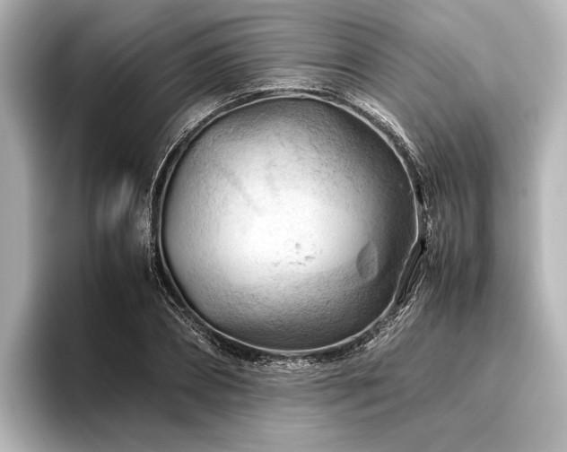X0000096440882200801241356