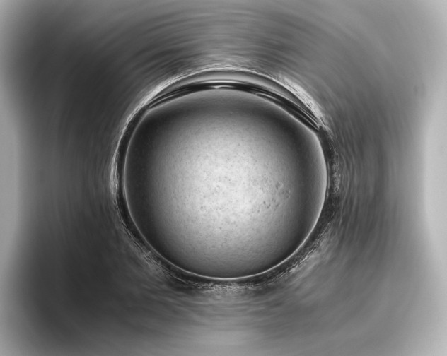 X0000096440885200801241356