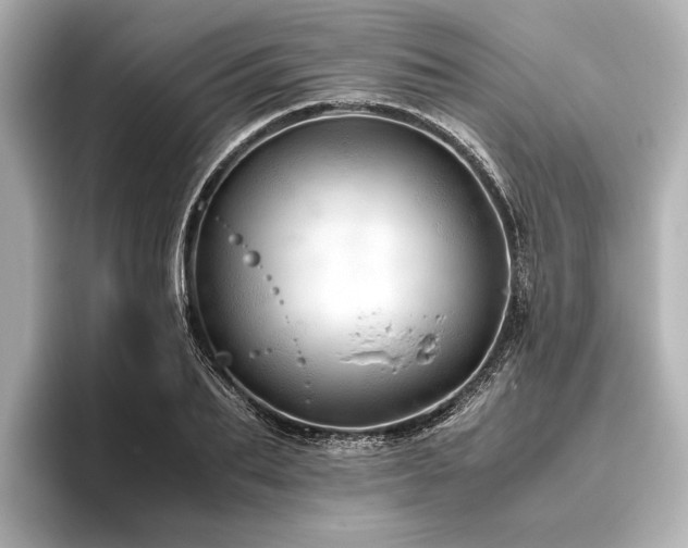 X0000096440887200801241356