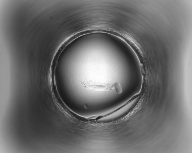 X0000096440888200801241356
