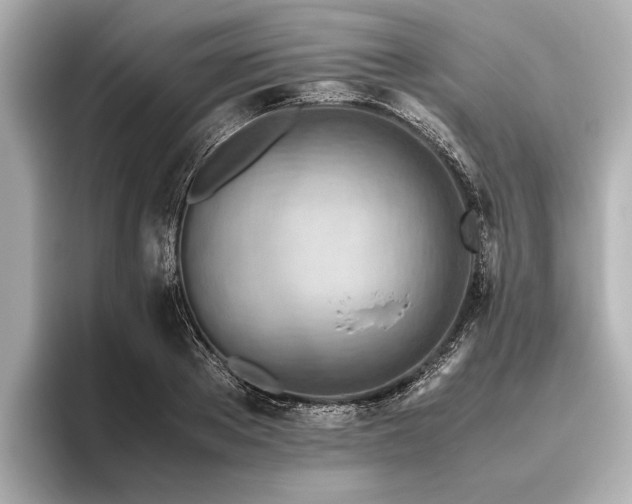 X0000096440889200801241356
