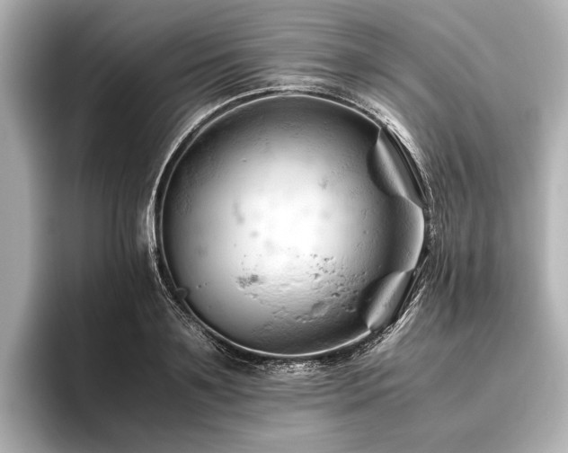 X0000096440891200801241356