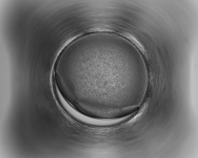 X0000096440893200801241356