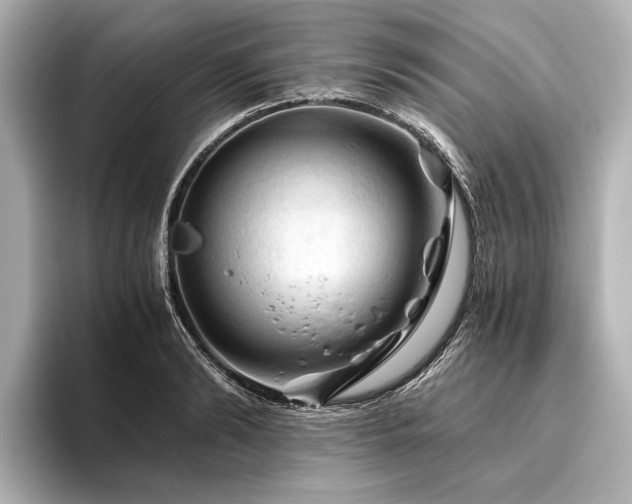 X0000096440894200801241356