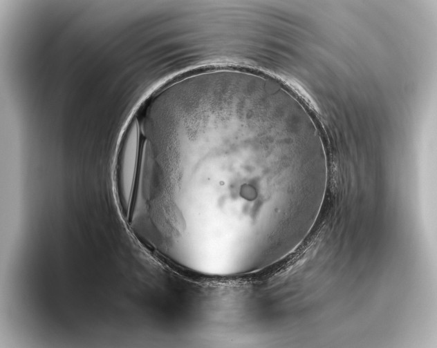 X0000096440895200801241356
