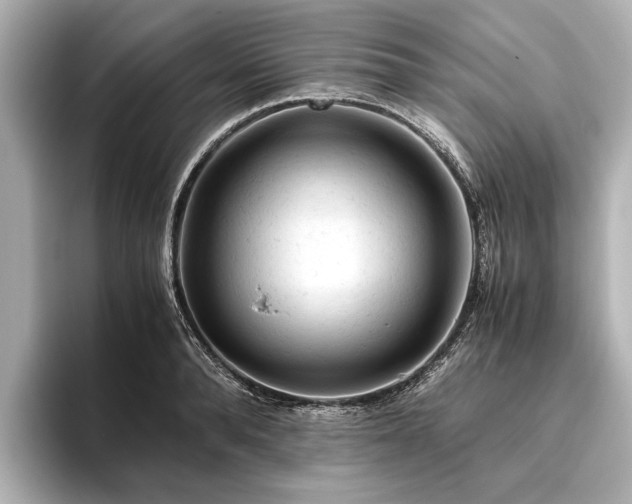 X0000096440896200801241356