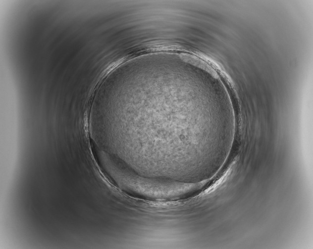 X0000096440897200801241356
