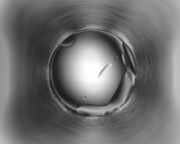 X0000096440898200801241356