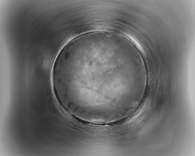 X0000096440899200801241356