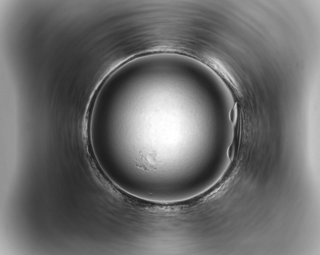 X0000096440900200801241356