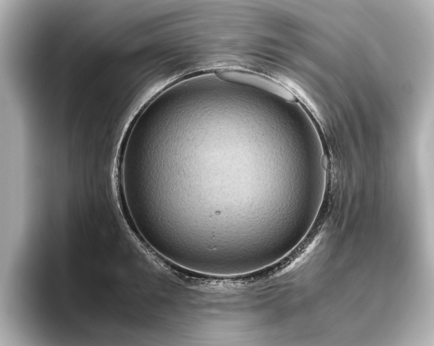 X0000096440901200801241356