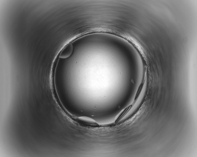 X0000096440902200801241356
