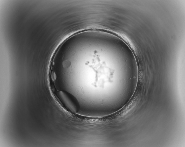 X0000096440903200801241356