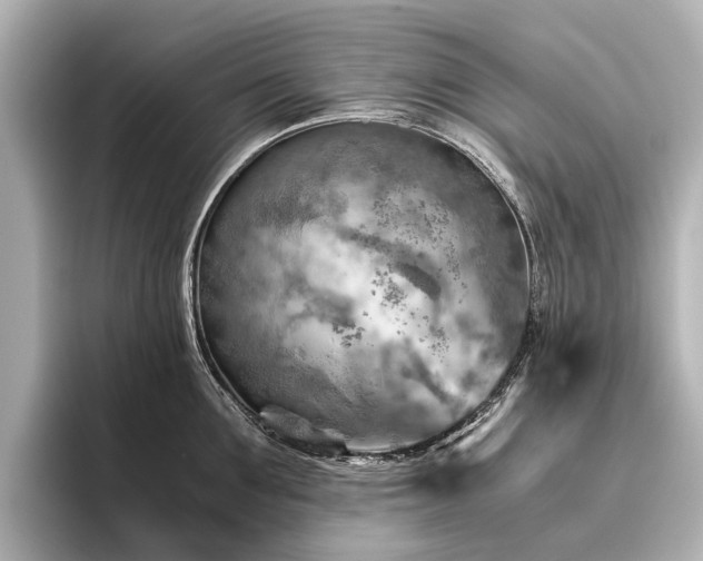 X0000096440907200801241356