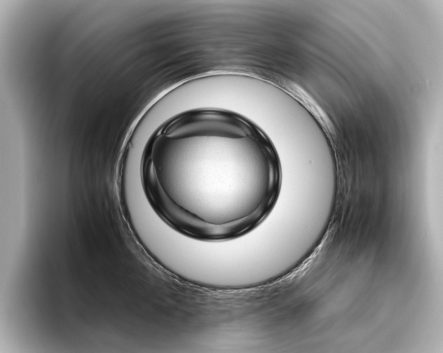 X0000096440908200801241356