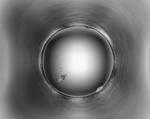 X0000096440909200801241356