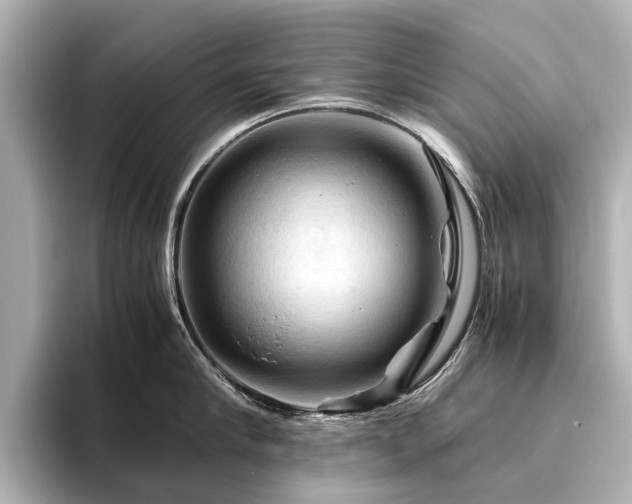 X0000096440910200801241356