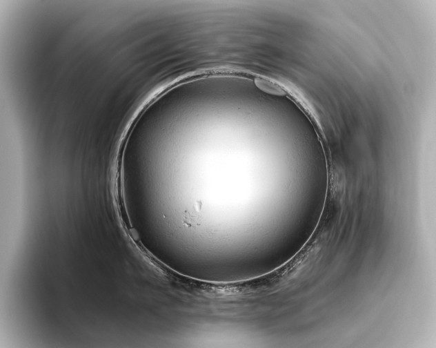 X0000096440911200801241356