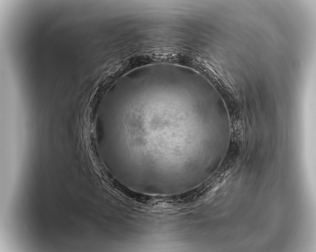 X0000096440913200801241355