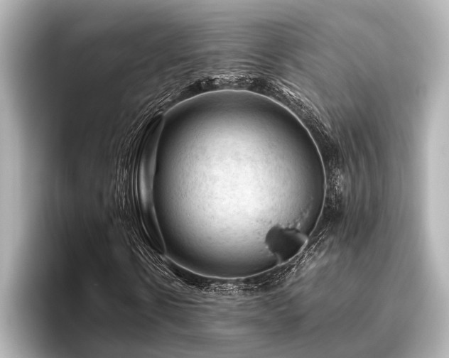 X0000096440914200801241355
