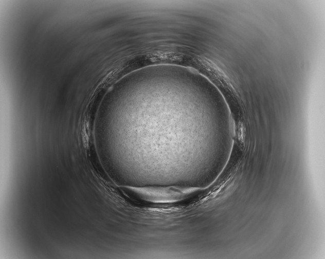 X0000096440915200801241355