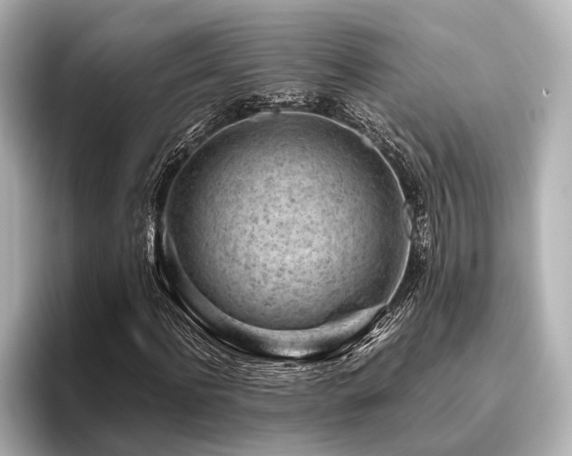 X0000096440916200801241355