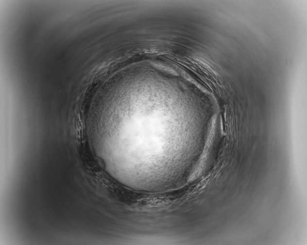 X0000096440917200801241355