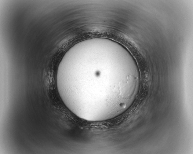 X0000096440918200801241355