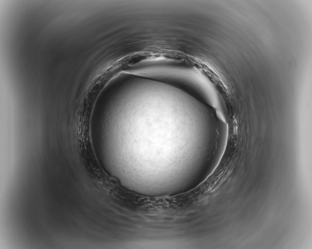 X0000096440919200801241355
