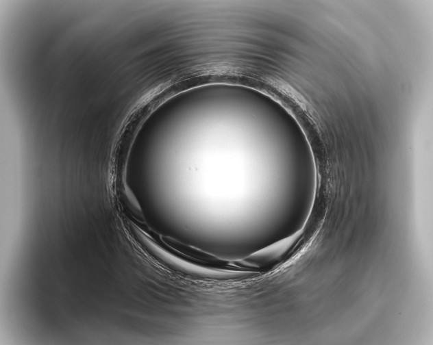 X0000096440922200801241355