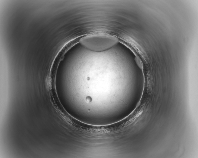 X0000096440924200801241355