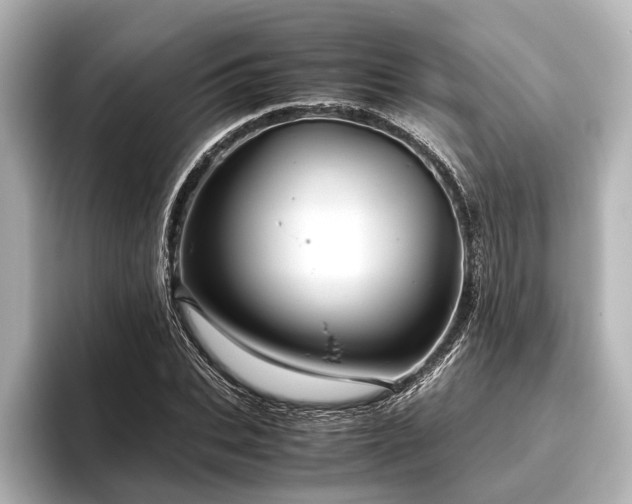 X0000096440927200801241355