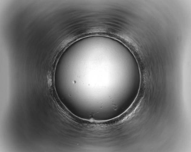 X0000096440929200801241355