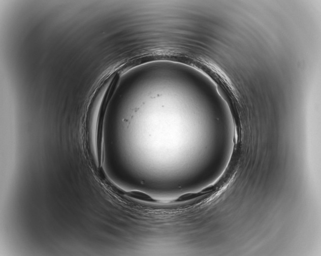 X0000096440930200801241355