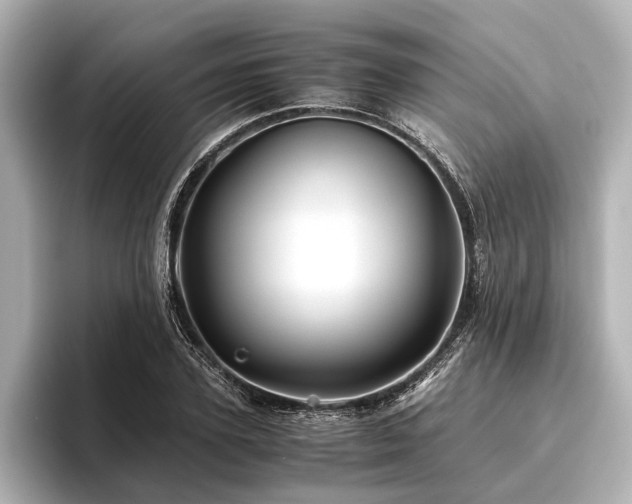 X0000096440931200801241355