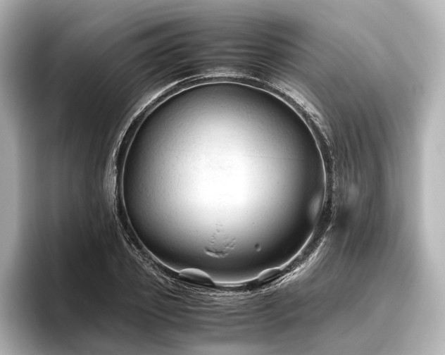 X0000096440933200801241356