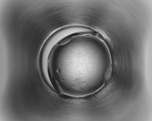 X0000096440934200801241356
