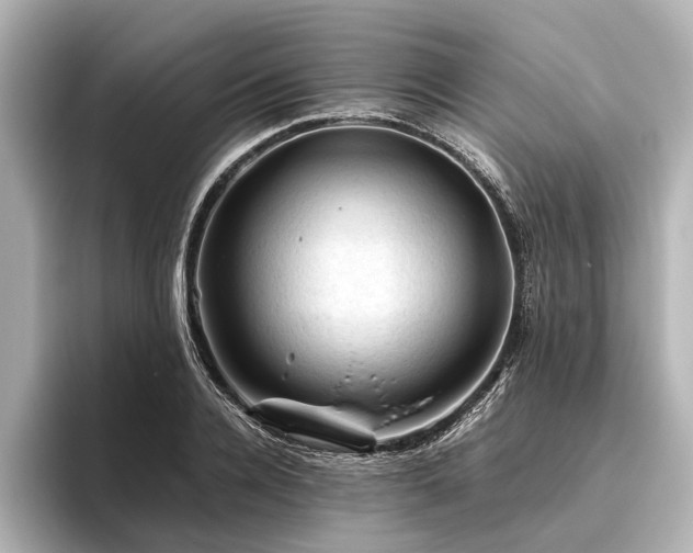 X0000096440936200801241356
