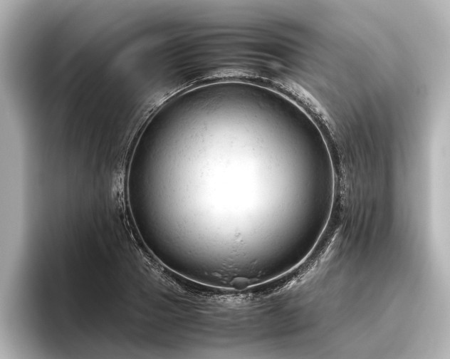 X0000096440937200801241356