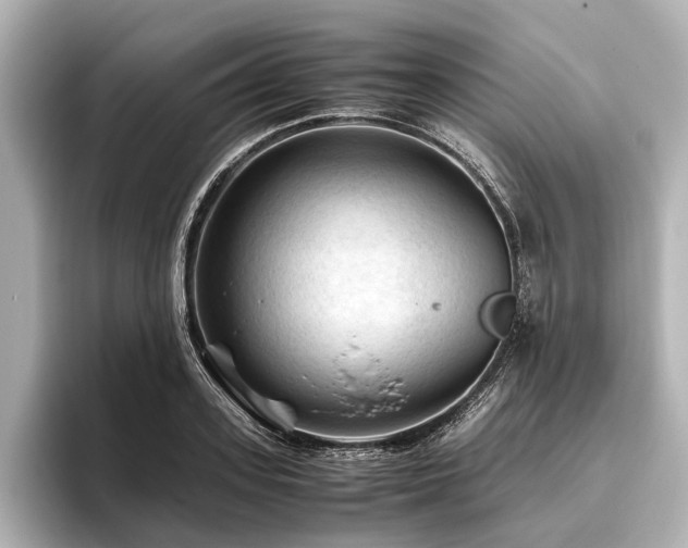 X0000096440939200801241356