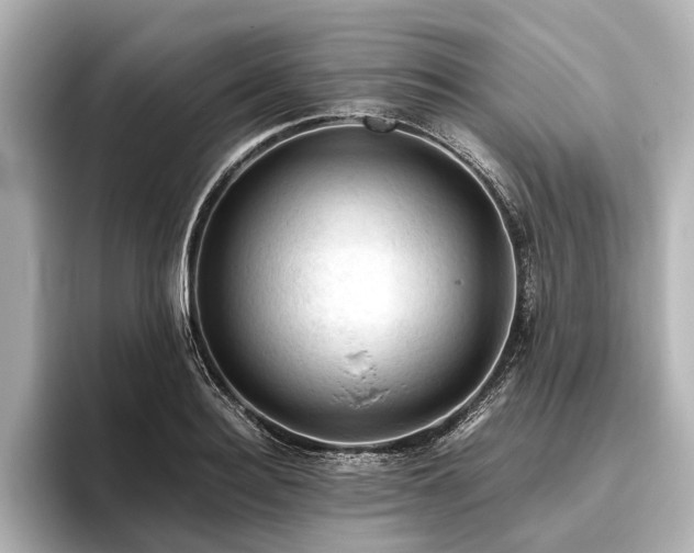 X0000096440940200801241356