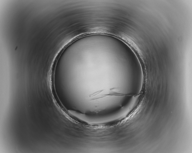 X0000096440941200801241356