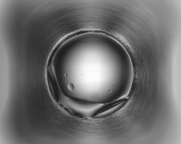 X0000096440942200801241356
