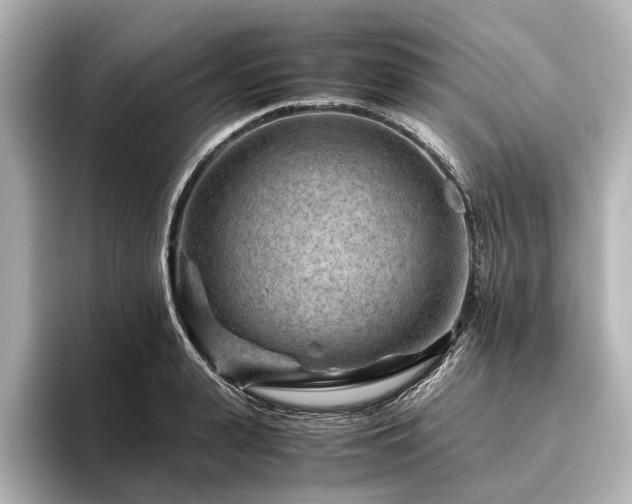 X0000096440943200801241356