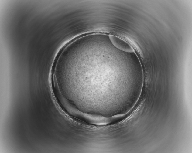 X0000096440944200801241356
