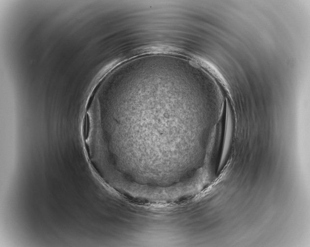 X0000096440946200801241356